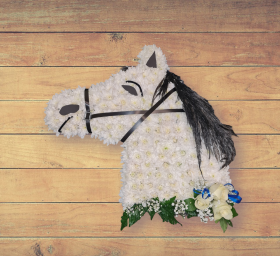 Horses Head